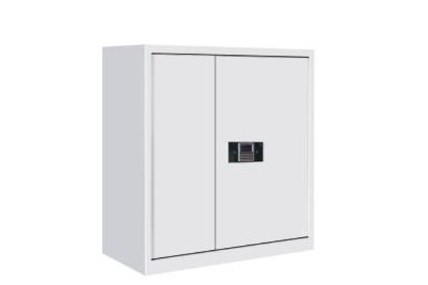 單節(jié)保密柜